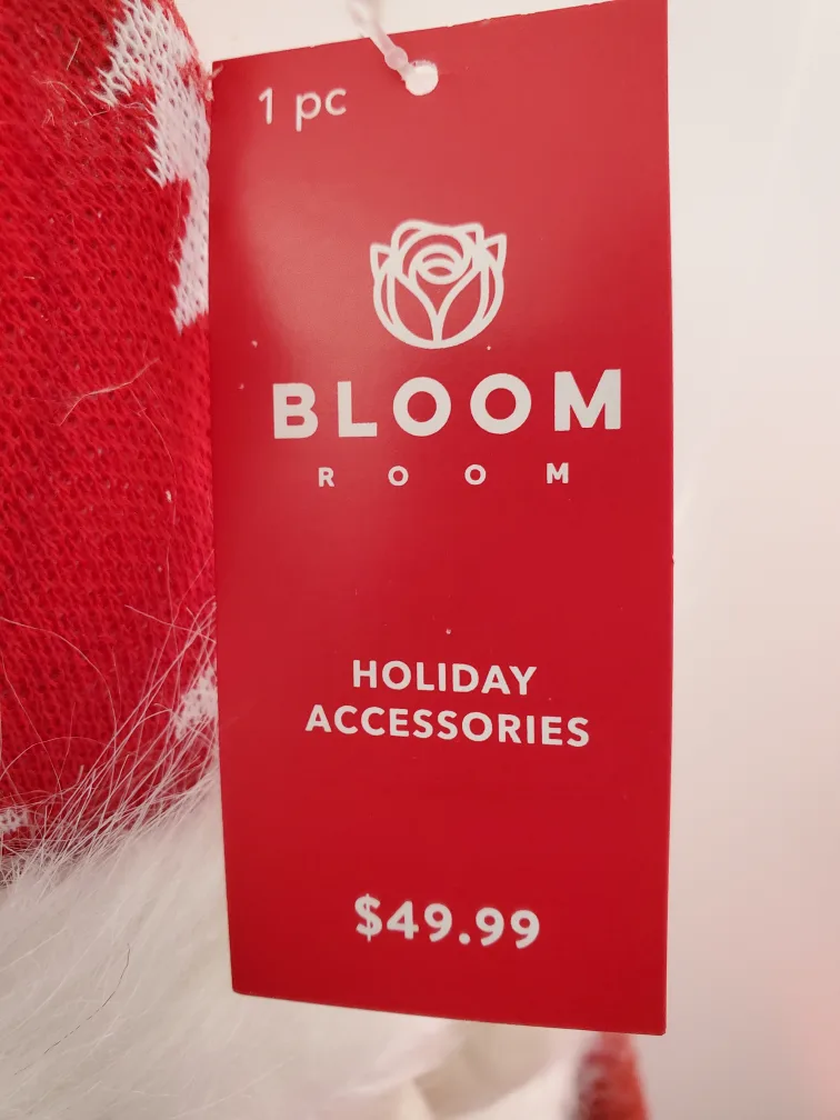 Bloom Room Holiday Santa Decoration image indicator(4)