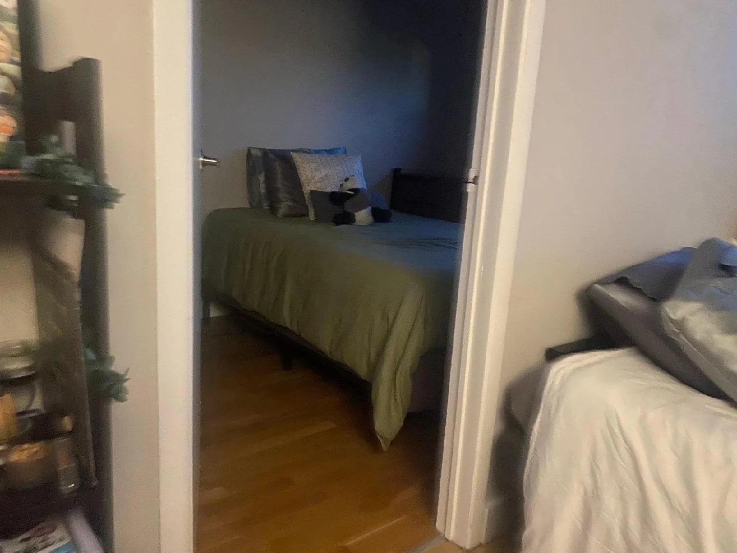 Douglas Mattress (full Size) 🛏️✨🌕 image indicator(4)