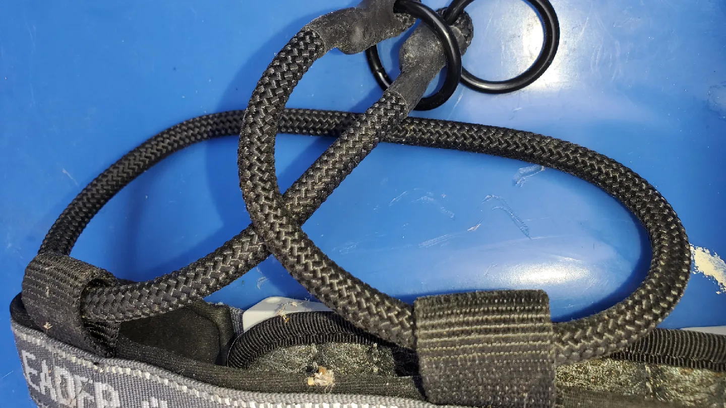 Cesar Millan Pack Leader Dog Harness image indicator(3)