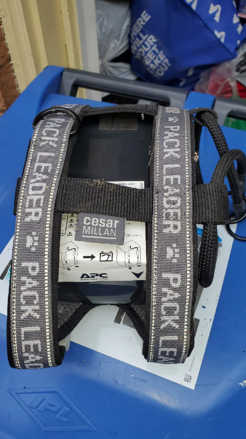 Cesar Millan Pack Leader Dog Harness image indicator(6)