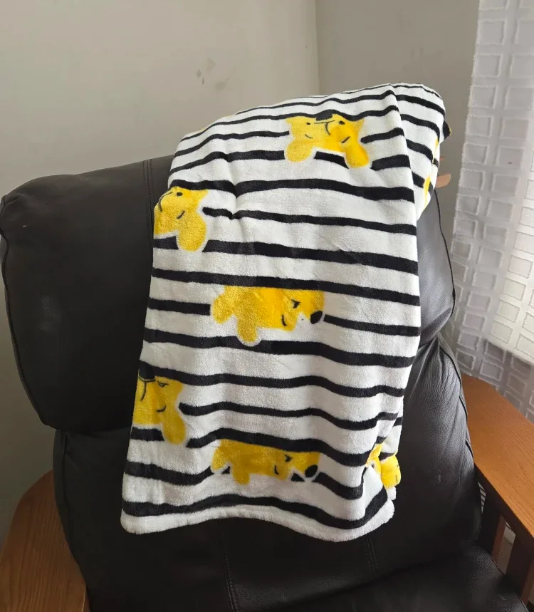 Disney Winnie the Pooh “Peek-A-Boo” Cloud Throw Blanket 60x70 image indicator(4)