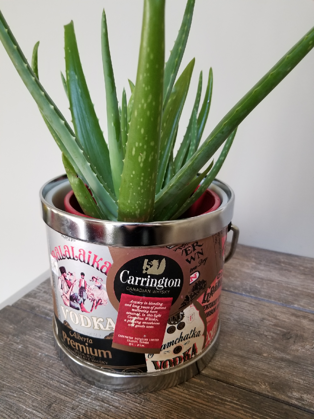1970's upcycled ice bucket plant pot!