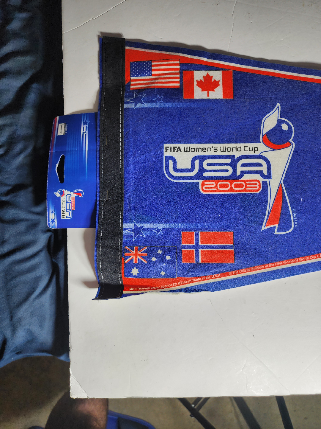 FIFA Women's World Cup USA 2003 Pennant - photo 2