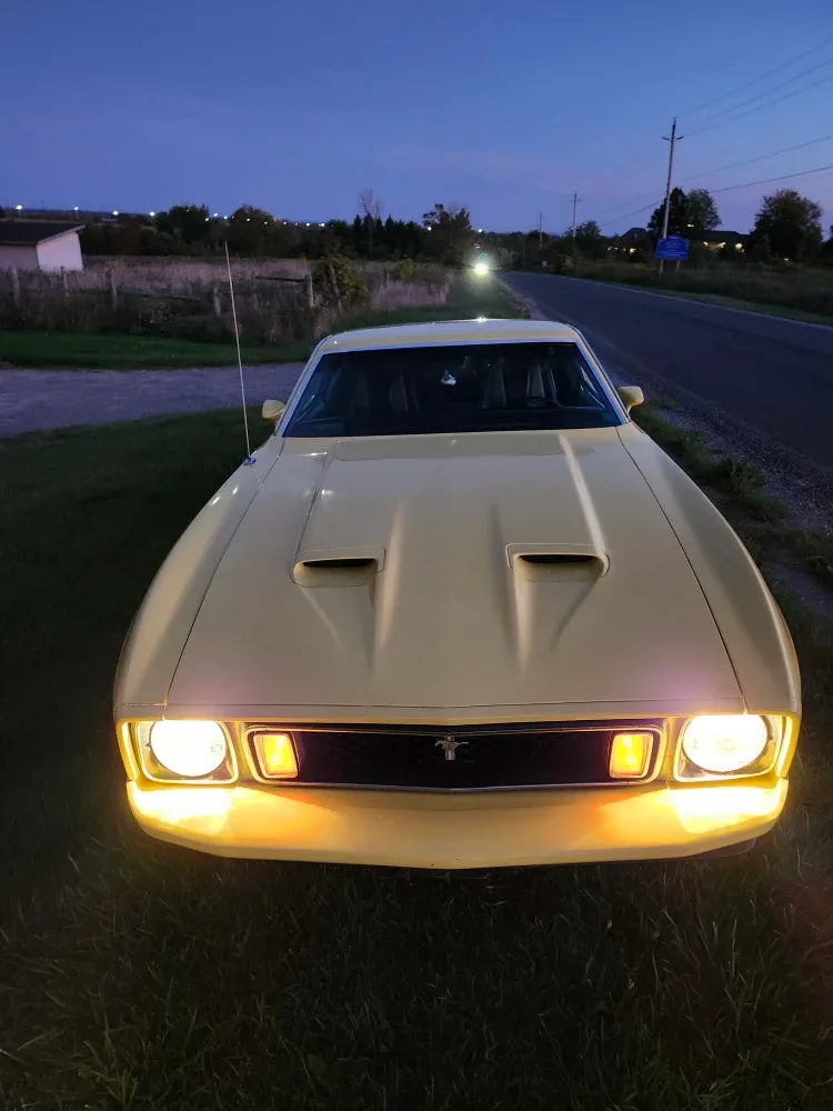 Mustang 1973 Mach 1 image indicator(3)