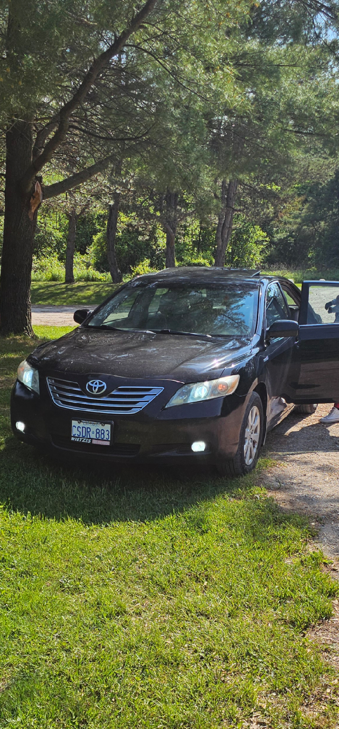 2009 Toyota Camry Hybrid  XLE