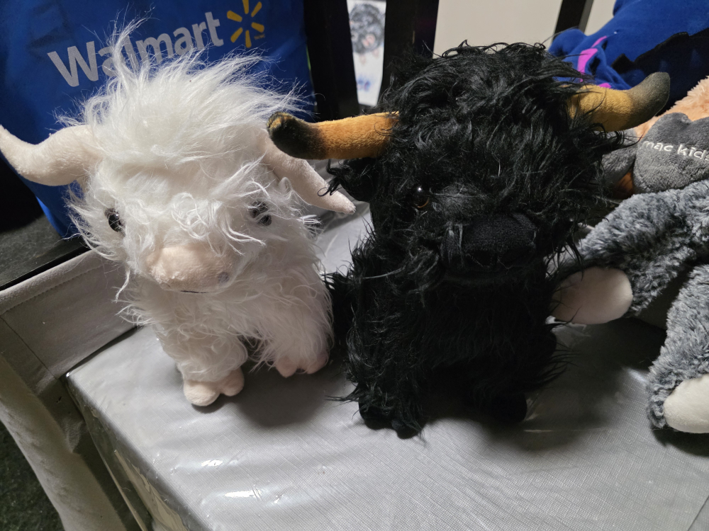 Highland Cow Plush Toy - White & Black