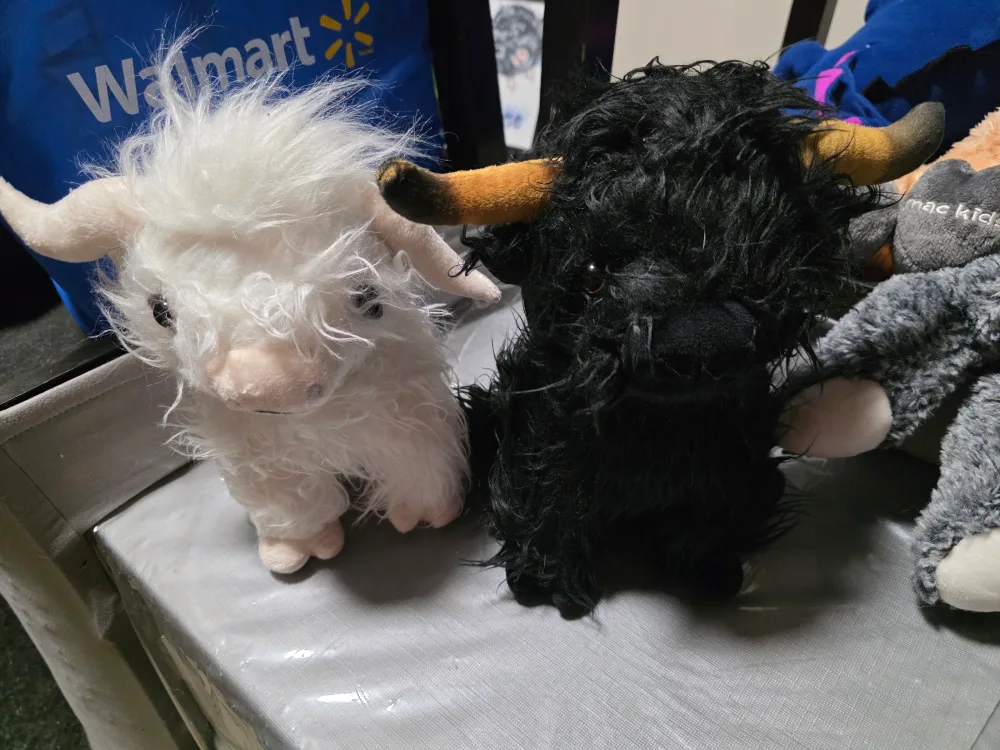 Highland Cow Plush Toy - White & Black thumbnail