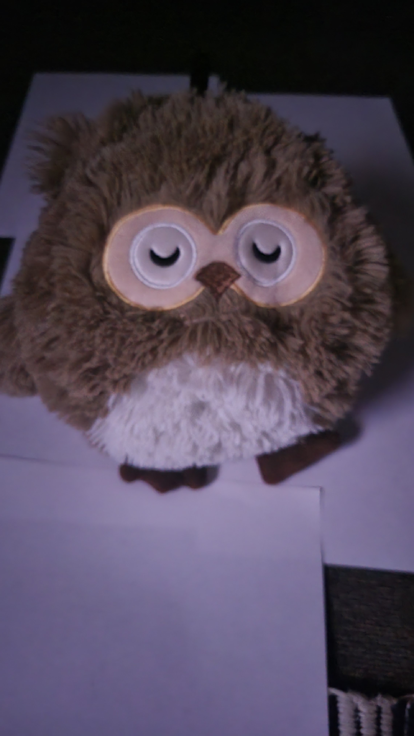 Owl Plush Toy