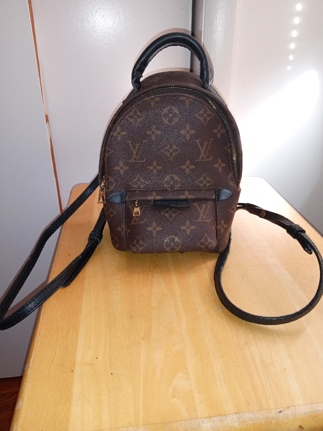 Louis Vuitton Palm Springs Mini Backpack - photo 5