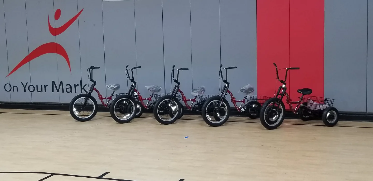 Nuvo Trike Adult Tricycle image indicator(2)