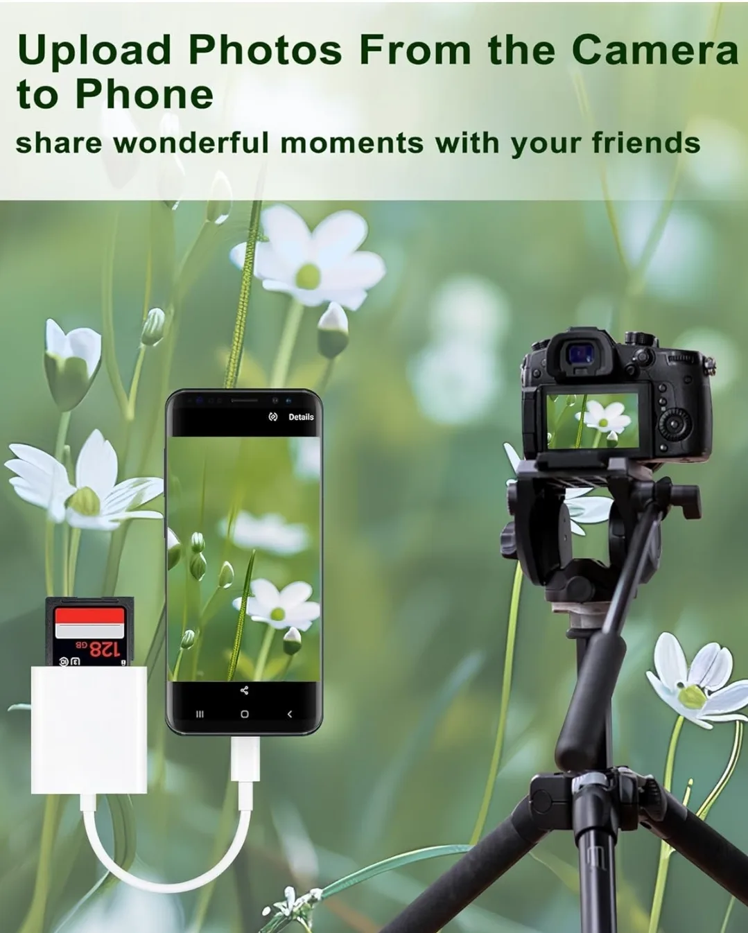 Type C SD Card Reader image indicator(2)