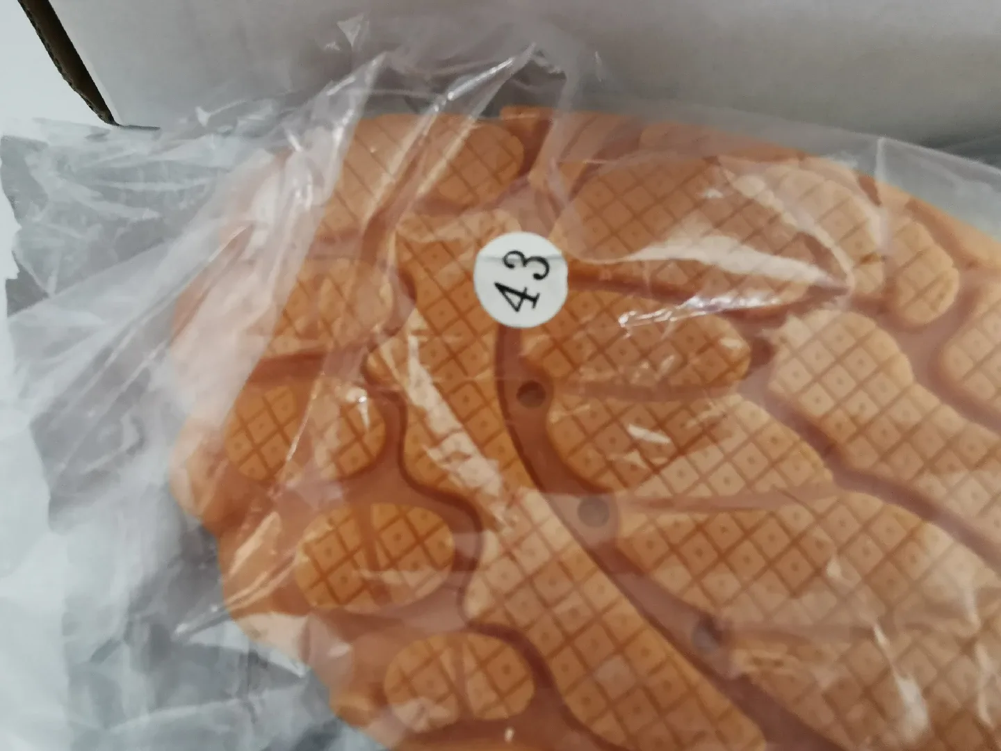 New Beige Water Shoes - Mens US 10/Women's 11.5 image indicator(5)