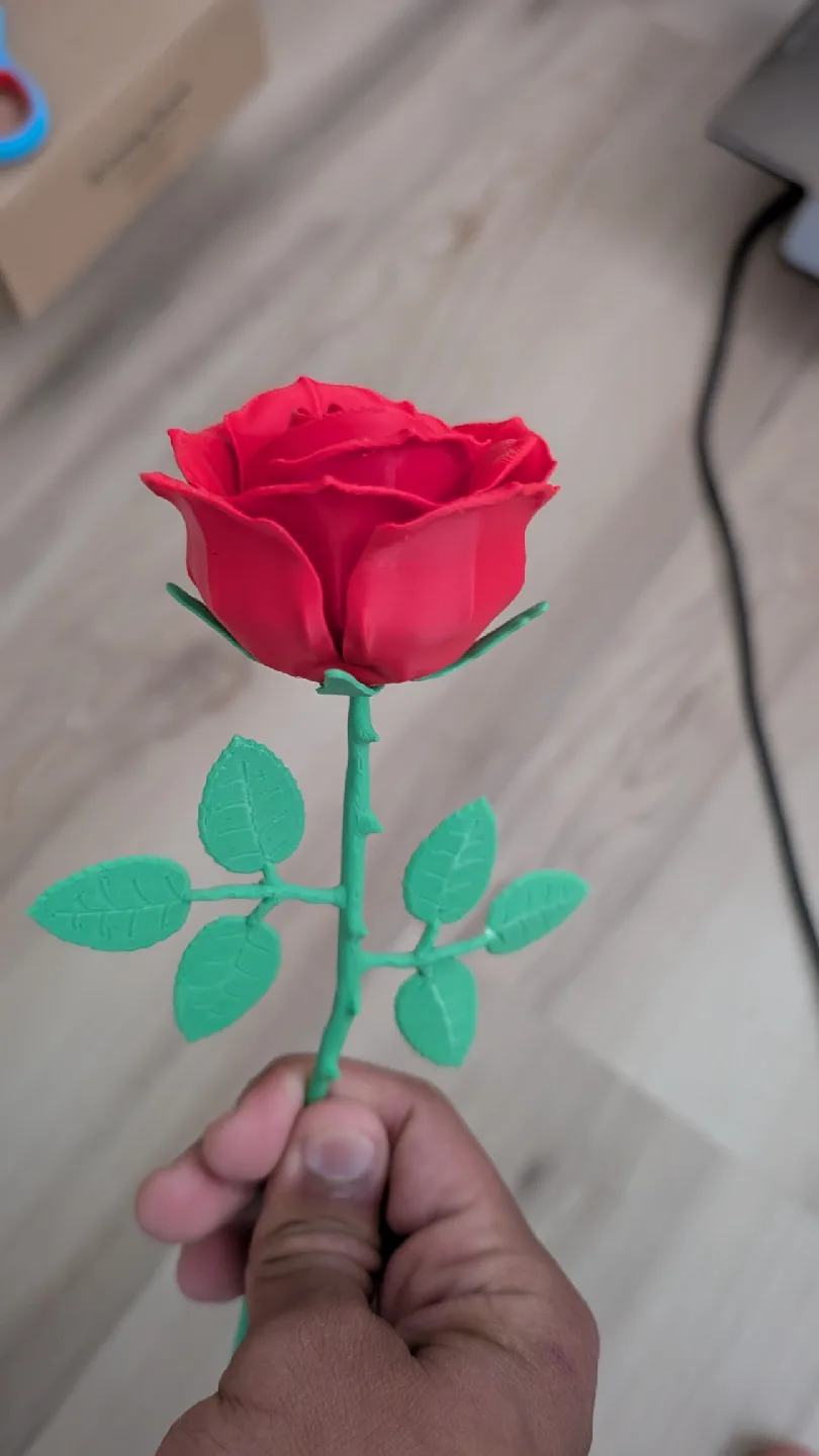 Artificial Roses - Red & White image indicator(3)