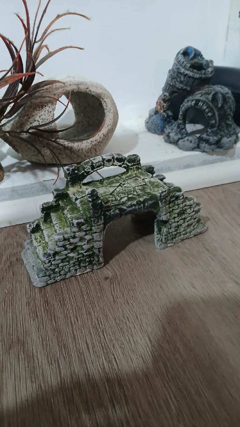 Aquarium Decorations image indicator(2)