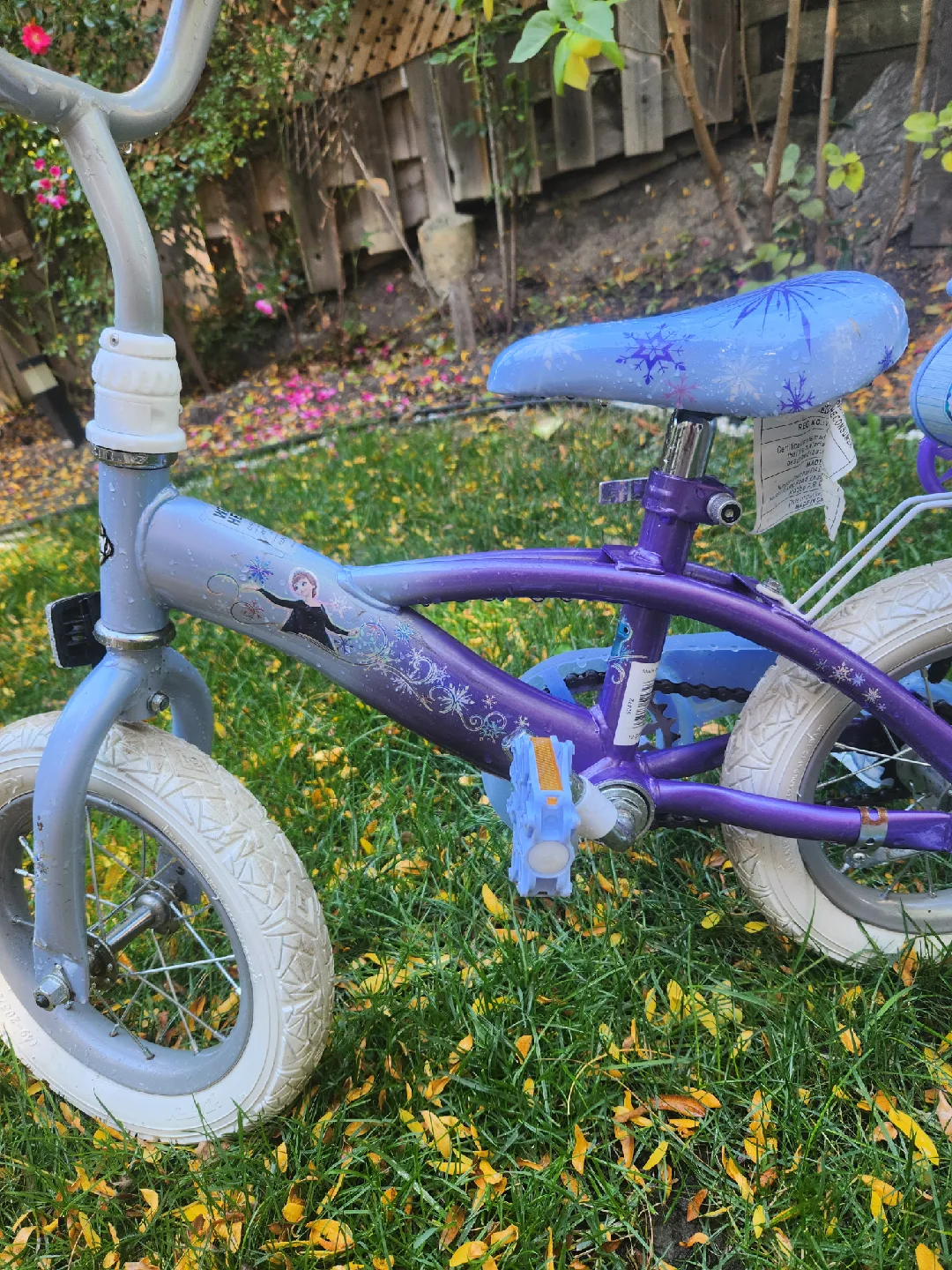 bicycle with frozen theme image indicator(2)