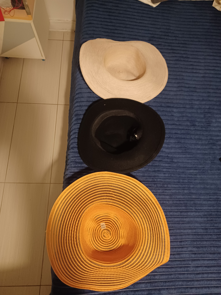 Assorted Women's Hats