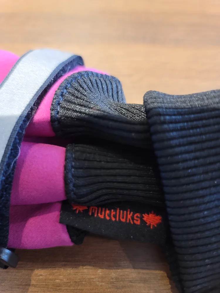 🥕 Blue Dog Boots image indicator(7)