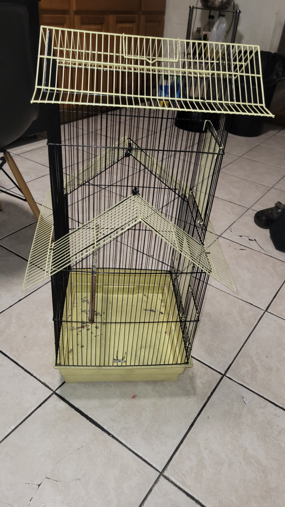 Bird Cage - Black and Yellow - photo 2