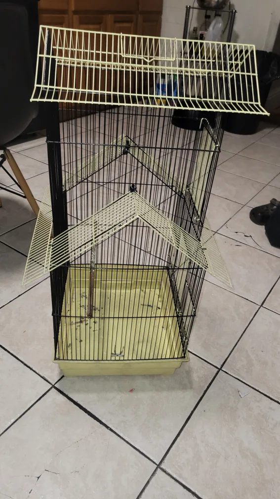 Bird Cage - Black and Yellow image indicator(2)