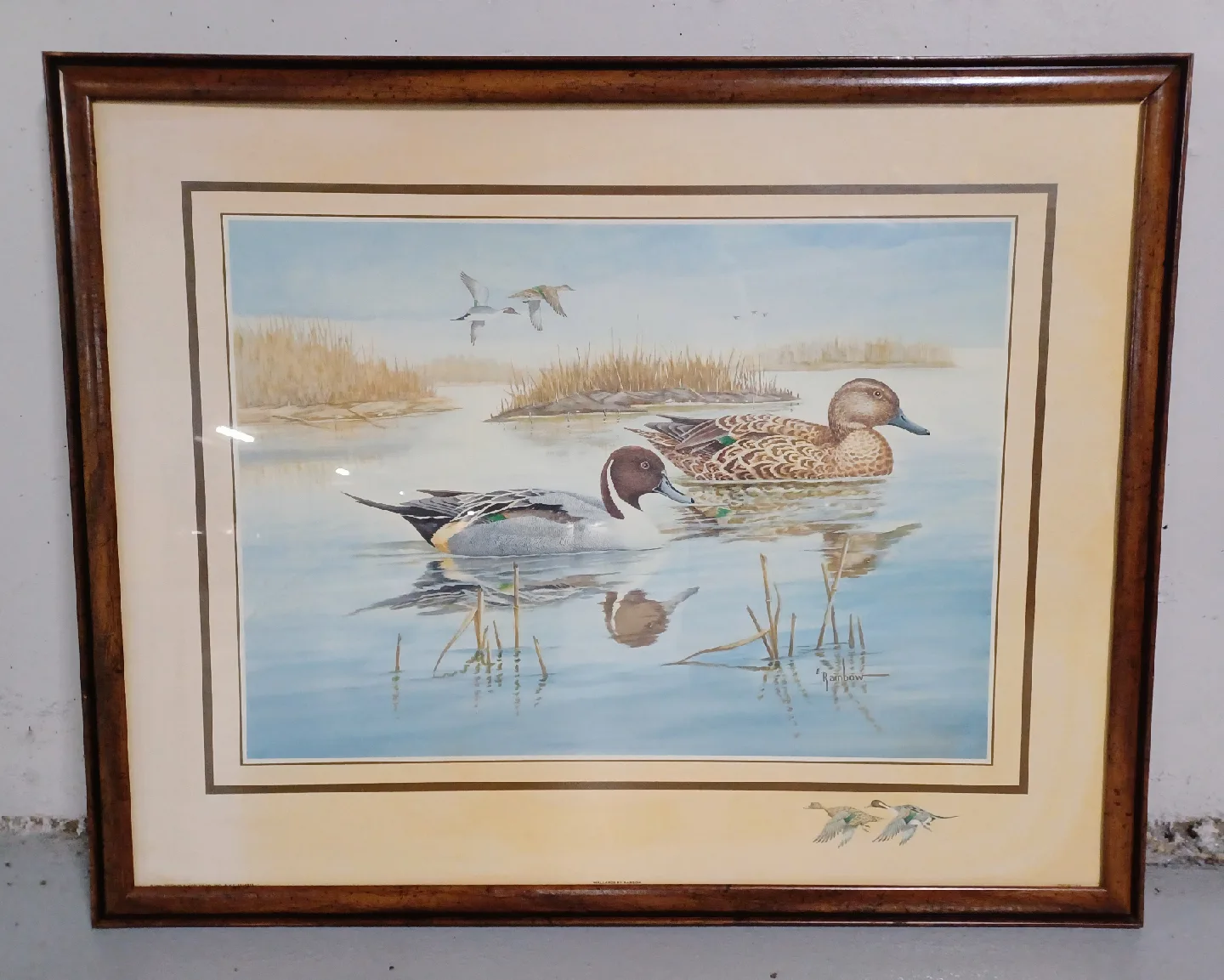 2 LG VTG Lithograph Art Prints DUCKS Wildlife - Offers welcome !