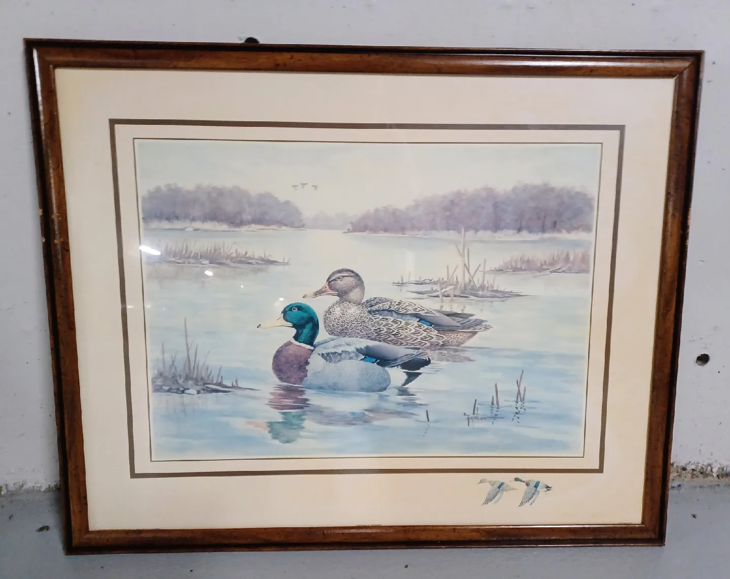 2 LG VTG Lithograph Art Prints DUCKS Wildlife - Offers welcome ! image indicator(2)