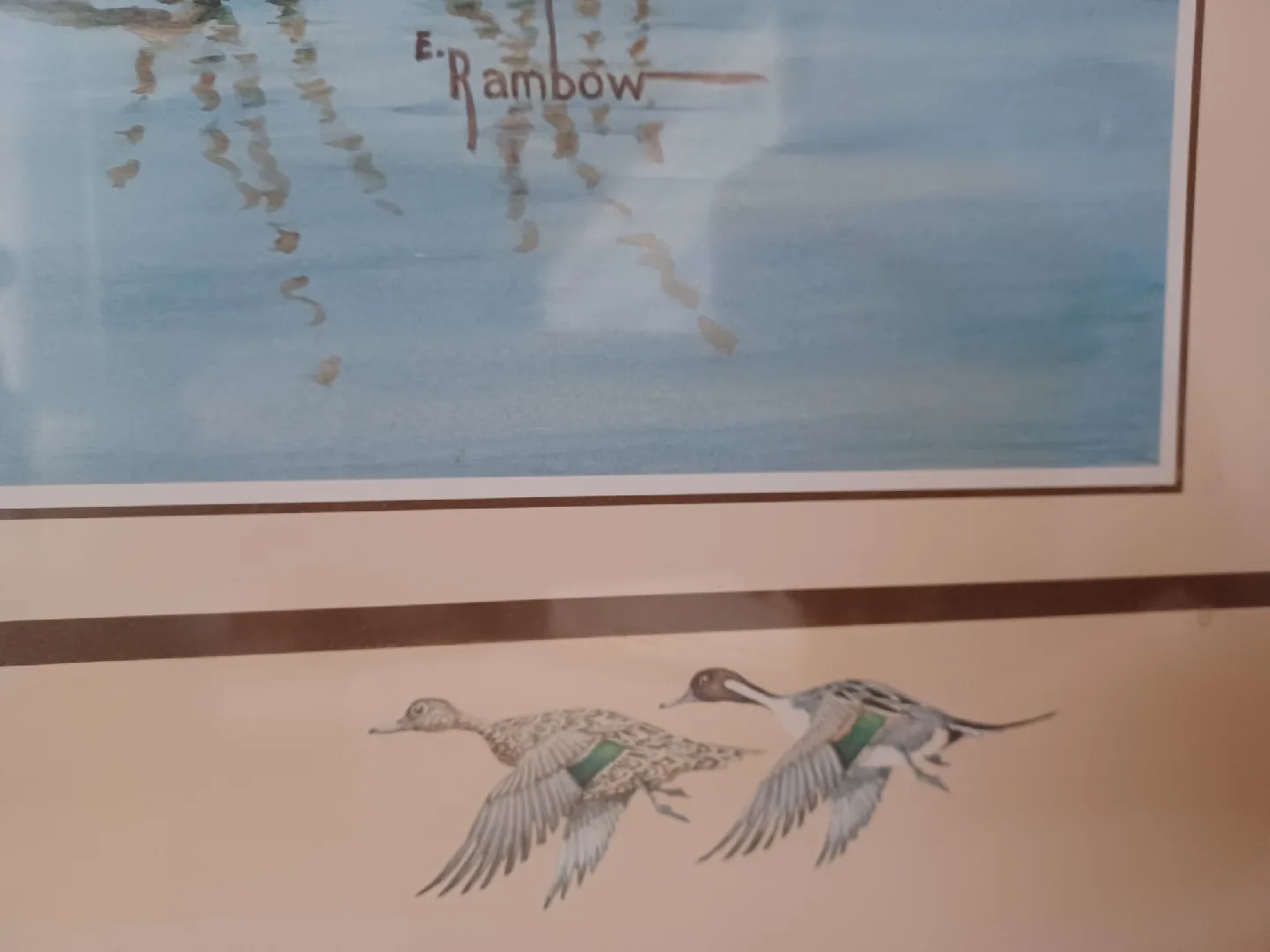 2 LG VTG Lithograph Art Prints DUCKS Wildlife - Offers welcome ! image indicator(4)