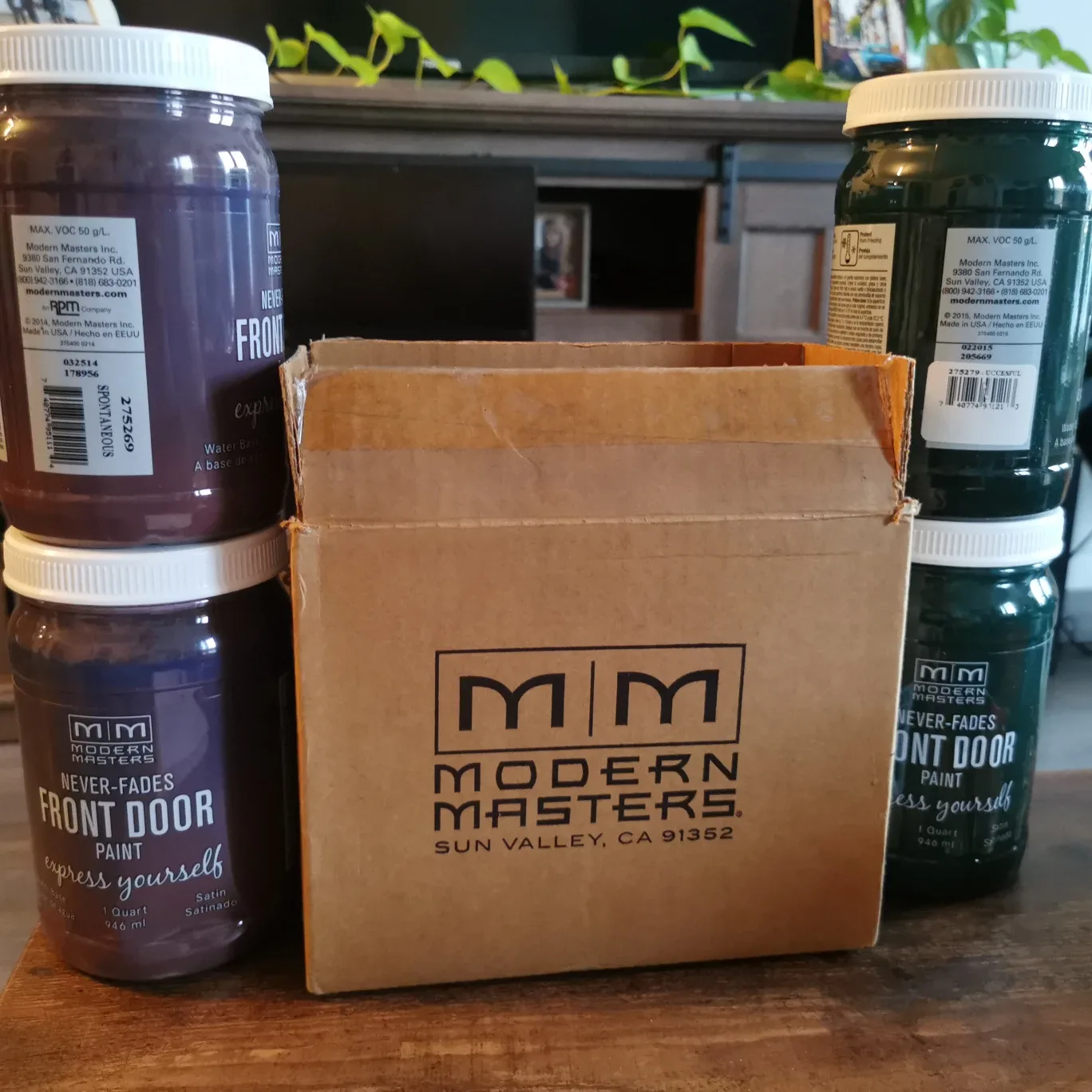 Modern Masters Front Door Paint - Successful image indicator(3)