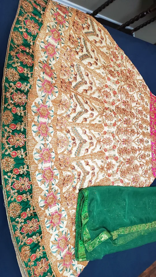 Indian/Pakistani Lengha Dress image indicator(2)