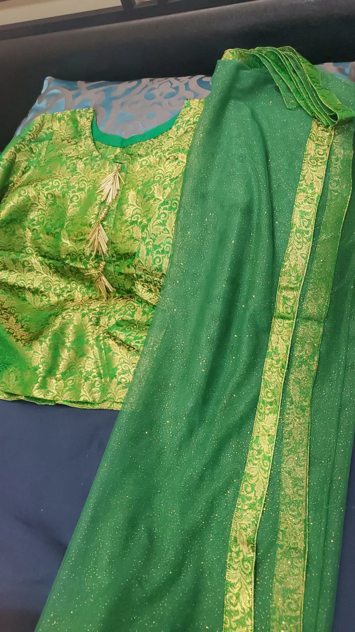 Indian/Pakistani Lengha Dress image indicator(3)