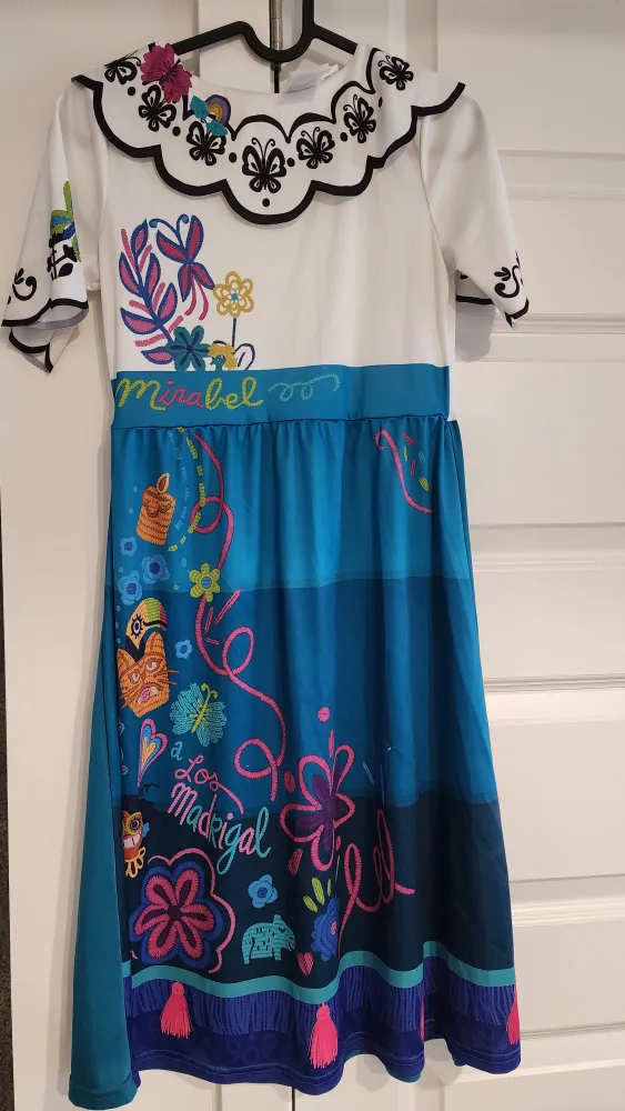 H&M Girls' Mirabel Encanto Dress Costume - Size 8-10 image indicator(3)