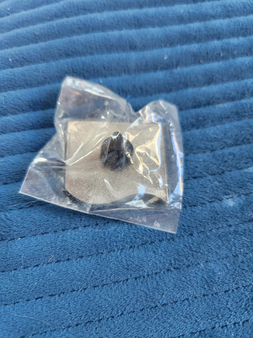 New NCL Latitudes Rewards Bronze Pin image indicator(2)