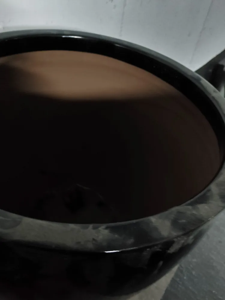 Black Ceramic Flower Pot image indicator(3)