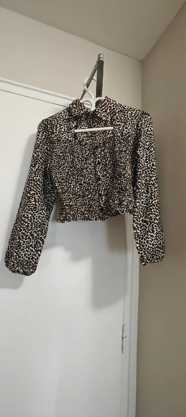 Leopard Print Long Sleeve Crop Top thumbnail