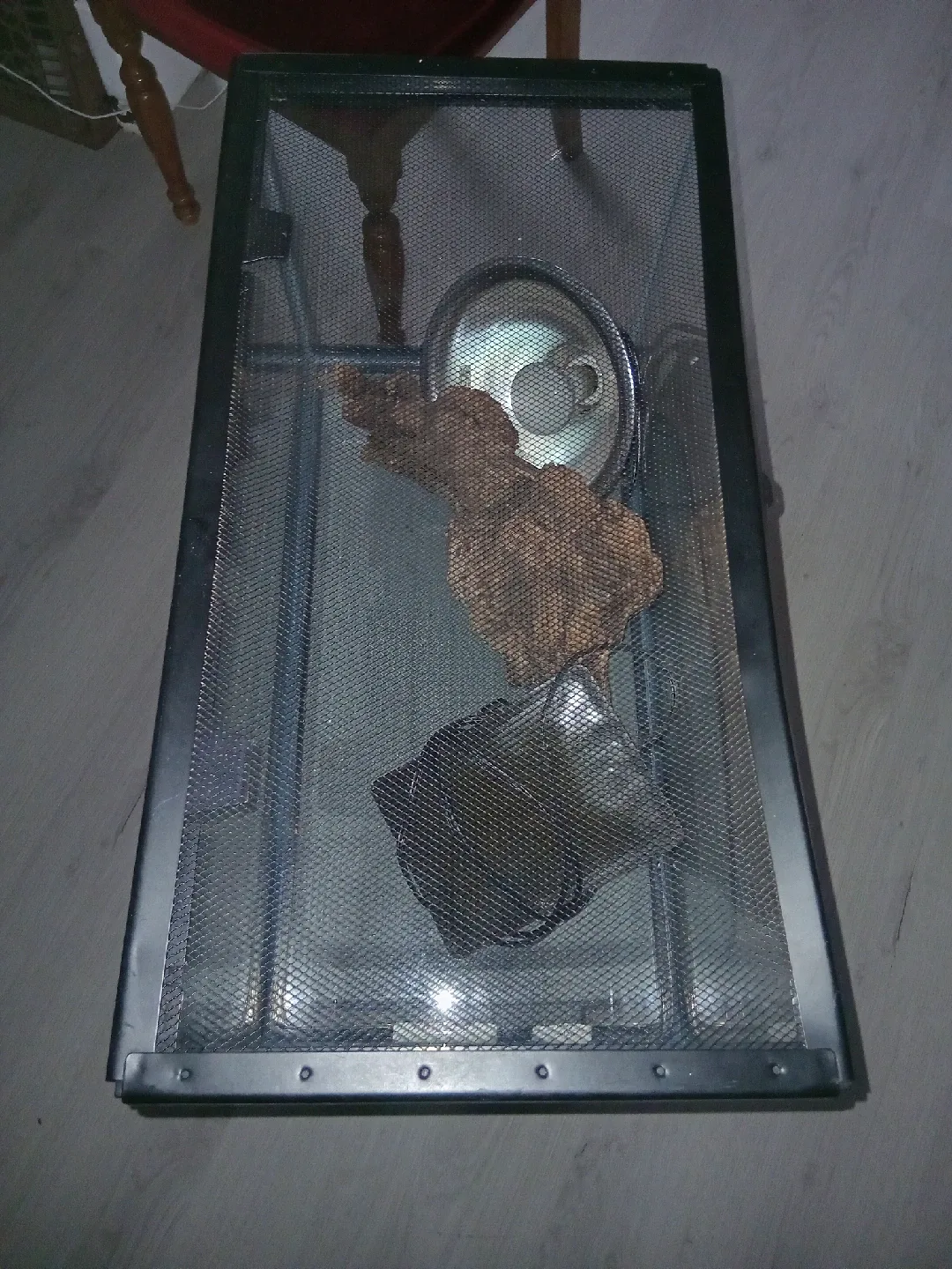 Terrarium reptile enclosure with accessories image indicator(3)