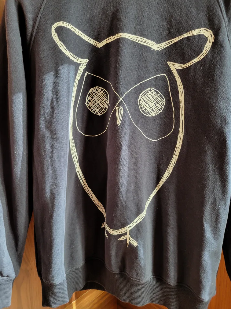 American Apparel Men's Blue Owl Organic Cotton Sweatshirt Large image indicator(2)