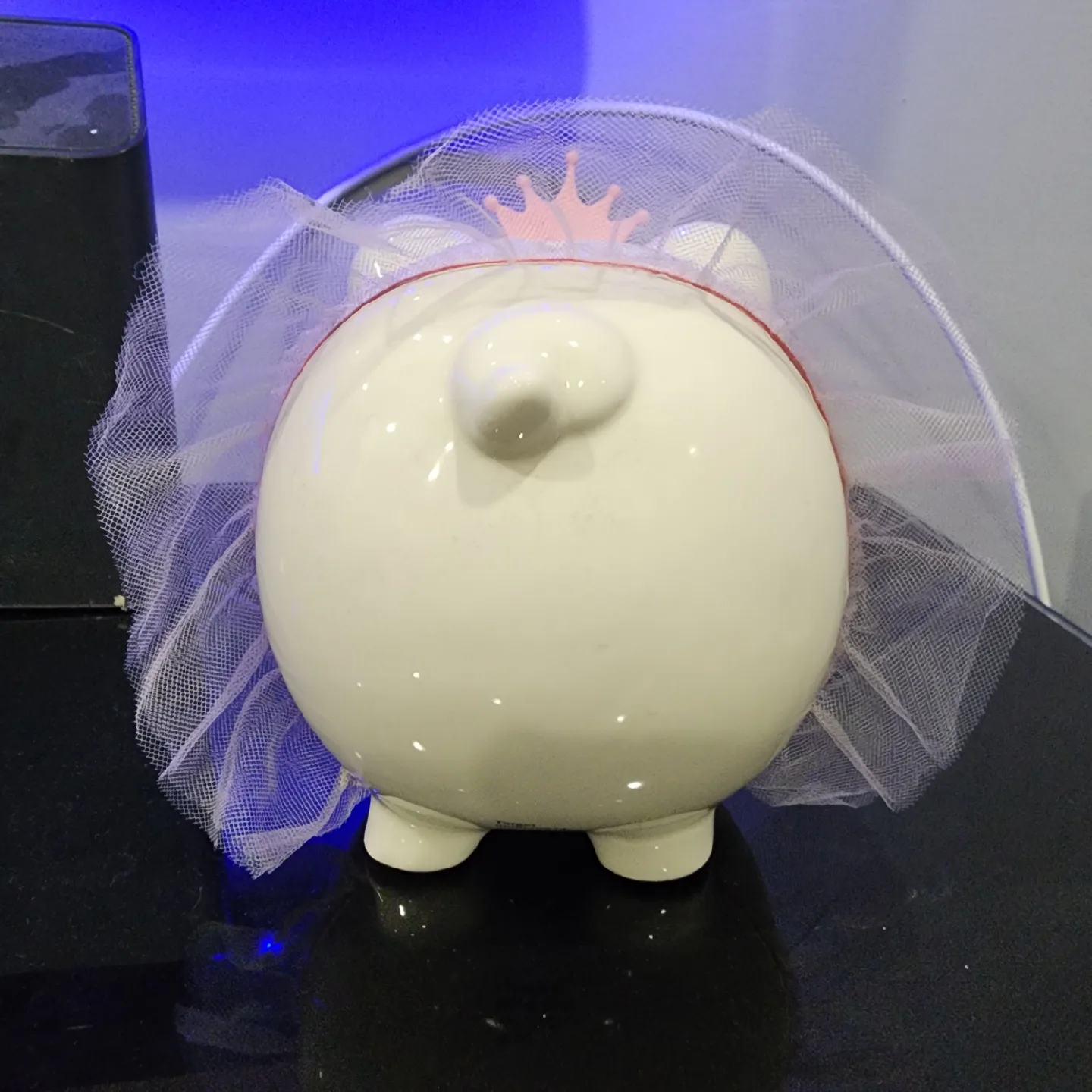Piggy Bank with Crown and Tutu image indicator(3)