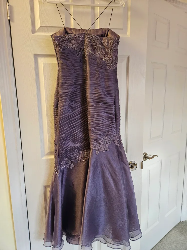 Purple Formal Dress with Shawl image indicator(5)
