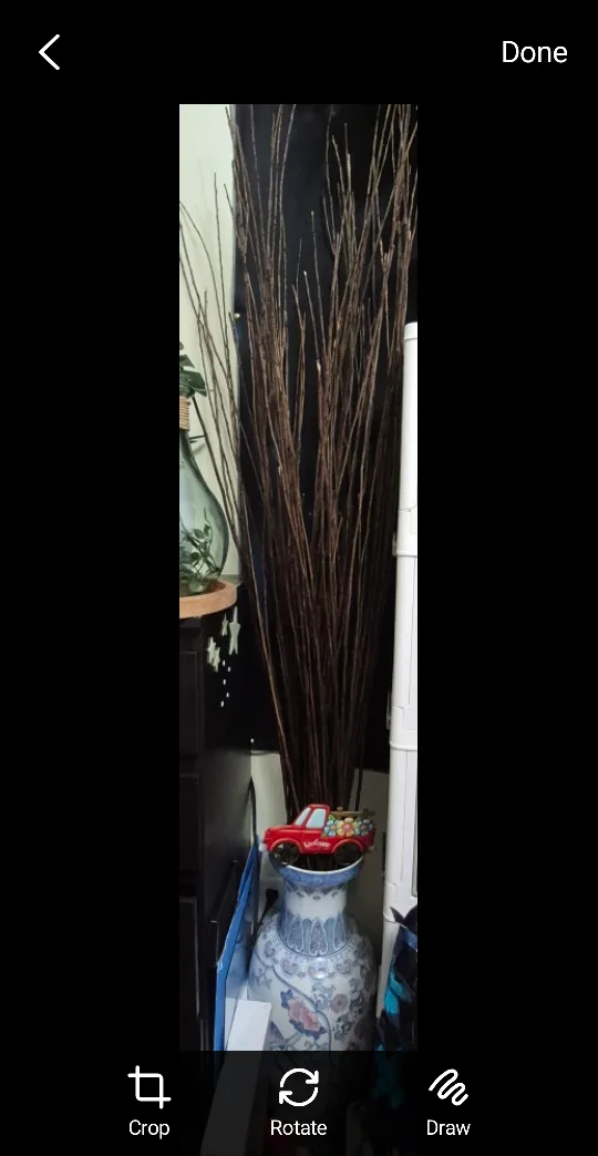 Decorative Birch Branches image indicator(3)