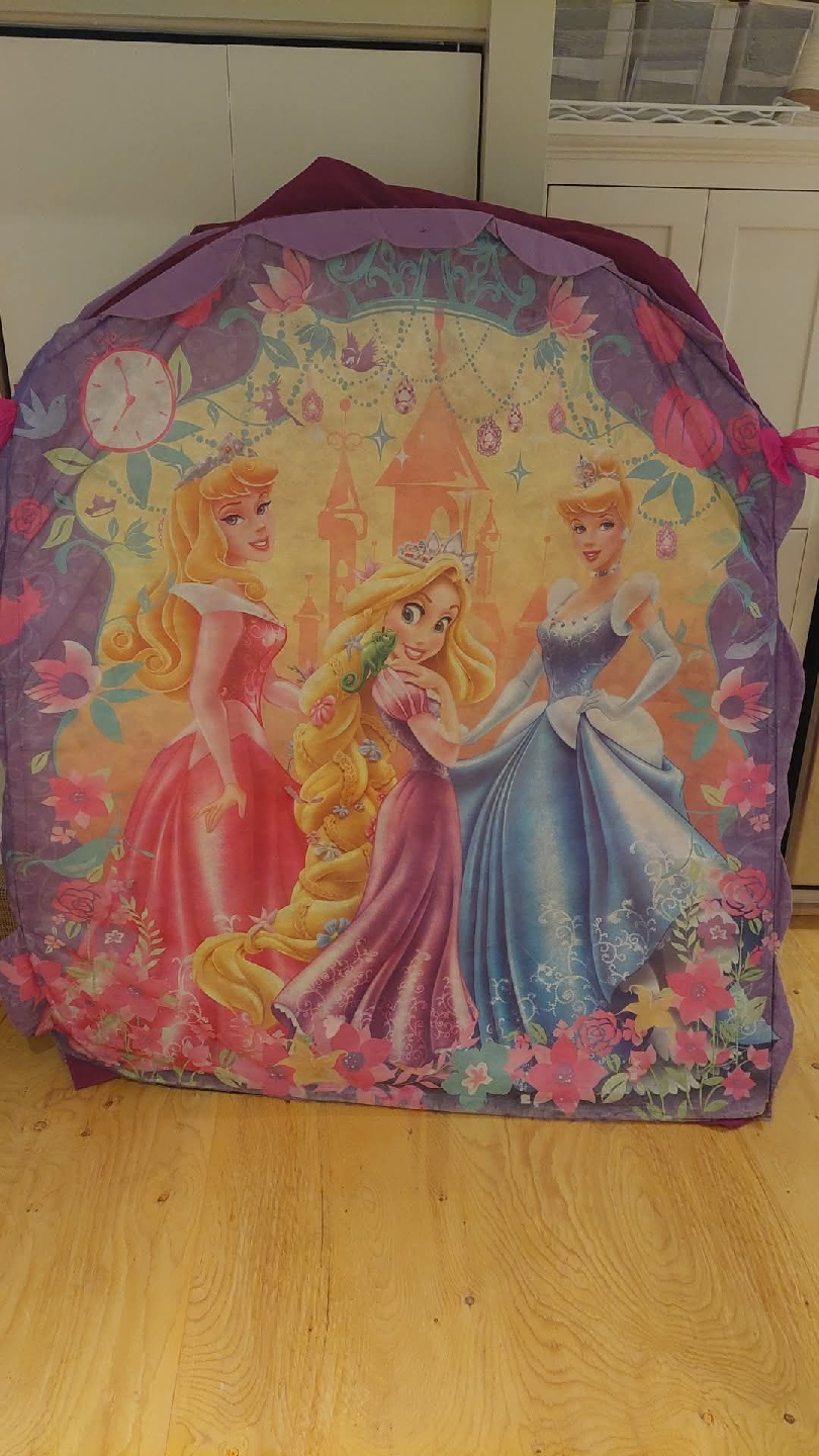 Disney Princess Play Tent