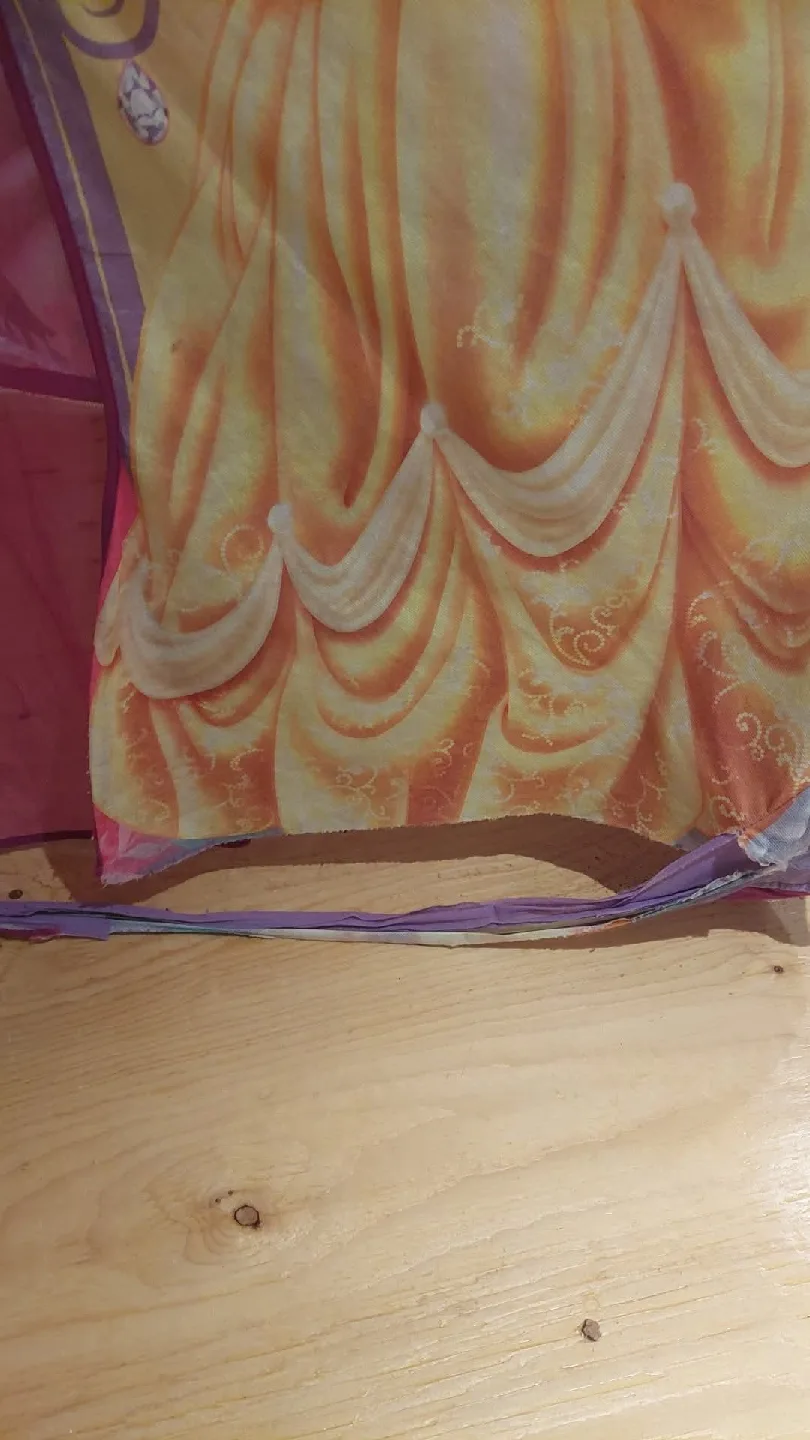 Disney Princess Play Tent image indicator(3)