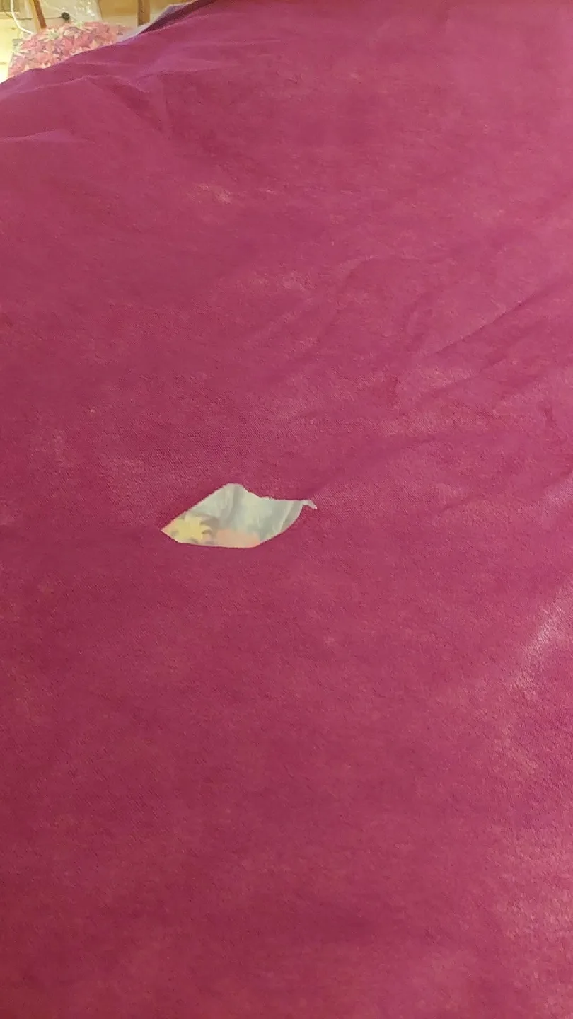 Disney Princess Play Tent image indicator(4)