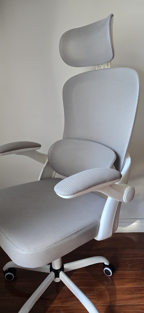 computer/office chair brand new