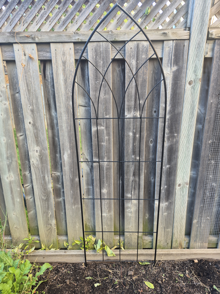 Metal Garden Trellis - Black