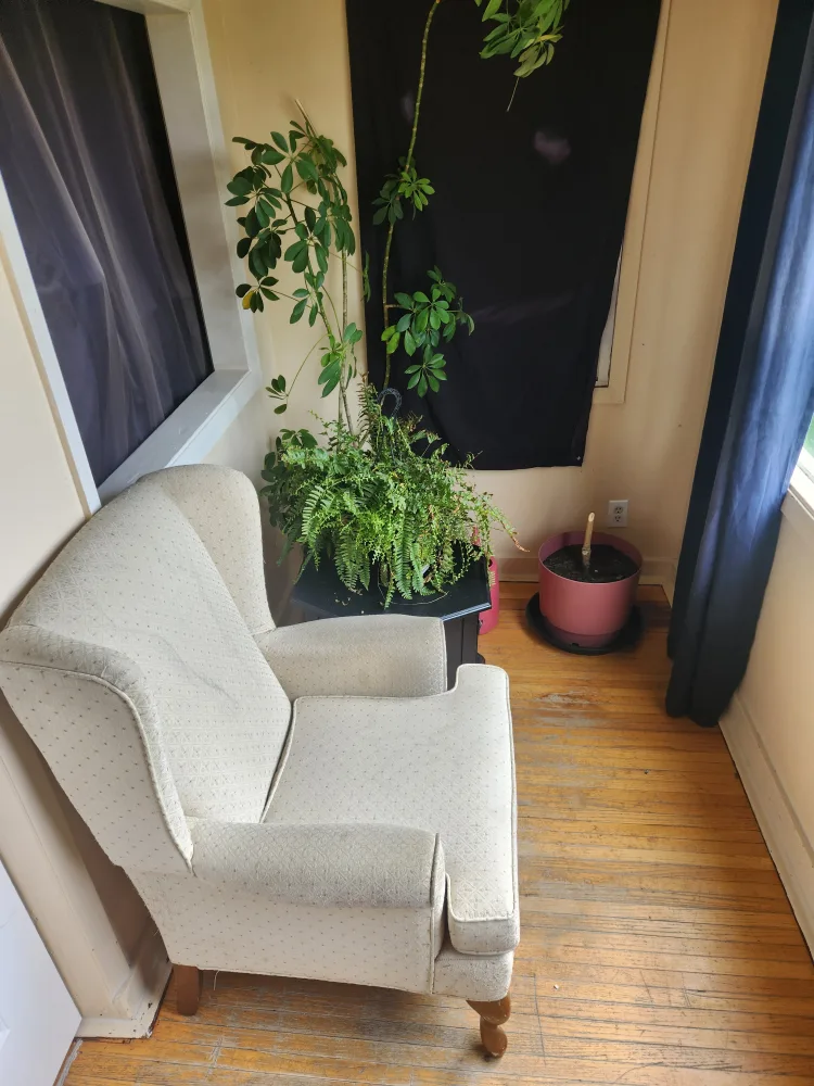 1 room for rent in tuxedo park