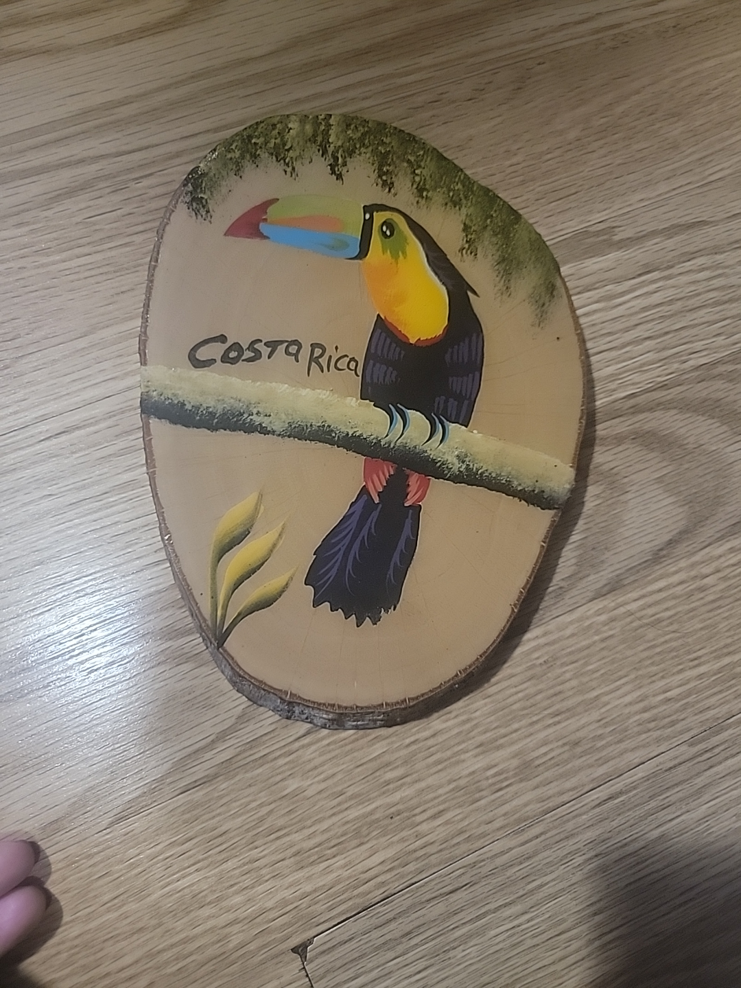 Costa Rica Toucan Wood Slice Art