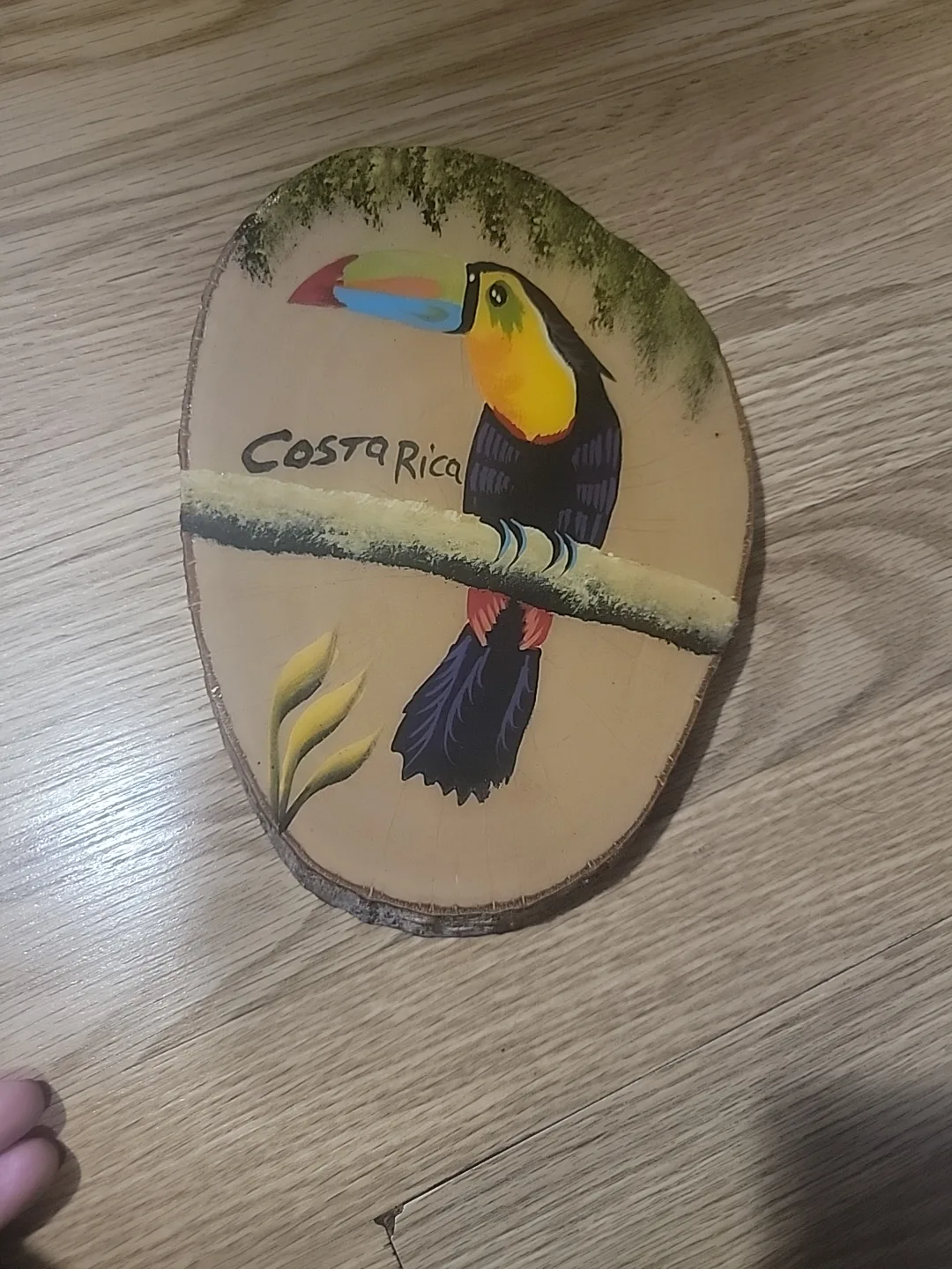 Costa Rica Toucan Wood Slice Art thumbnail