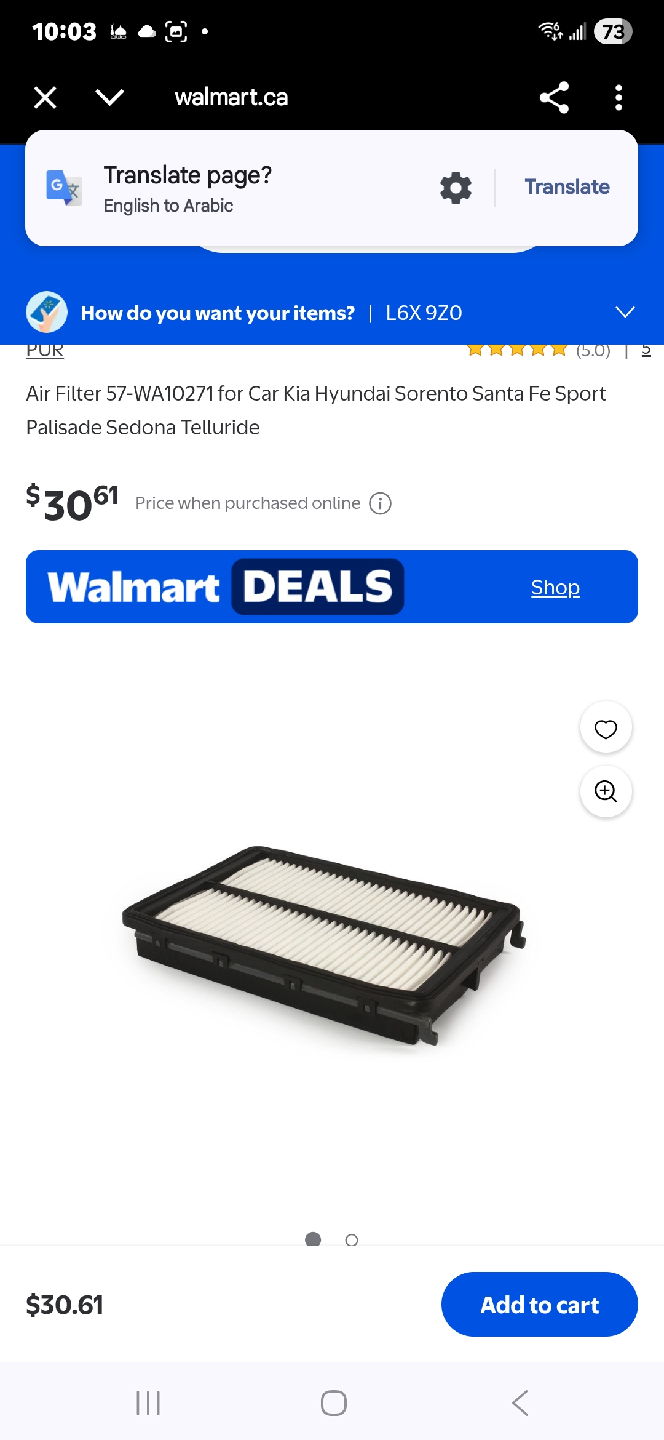 PUR 57-WA10271 Air Filter for Select Car Models