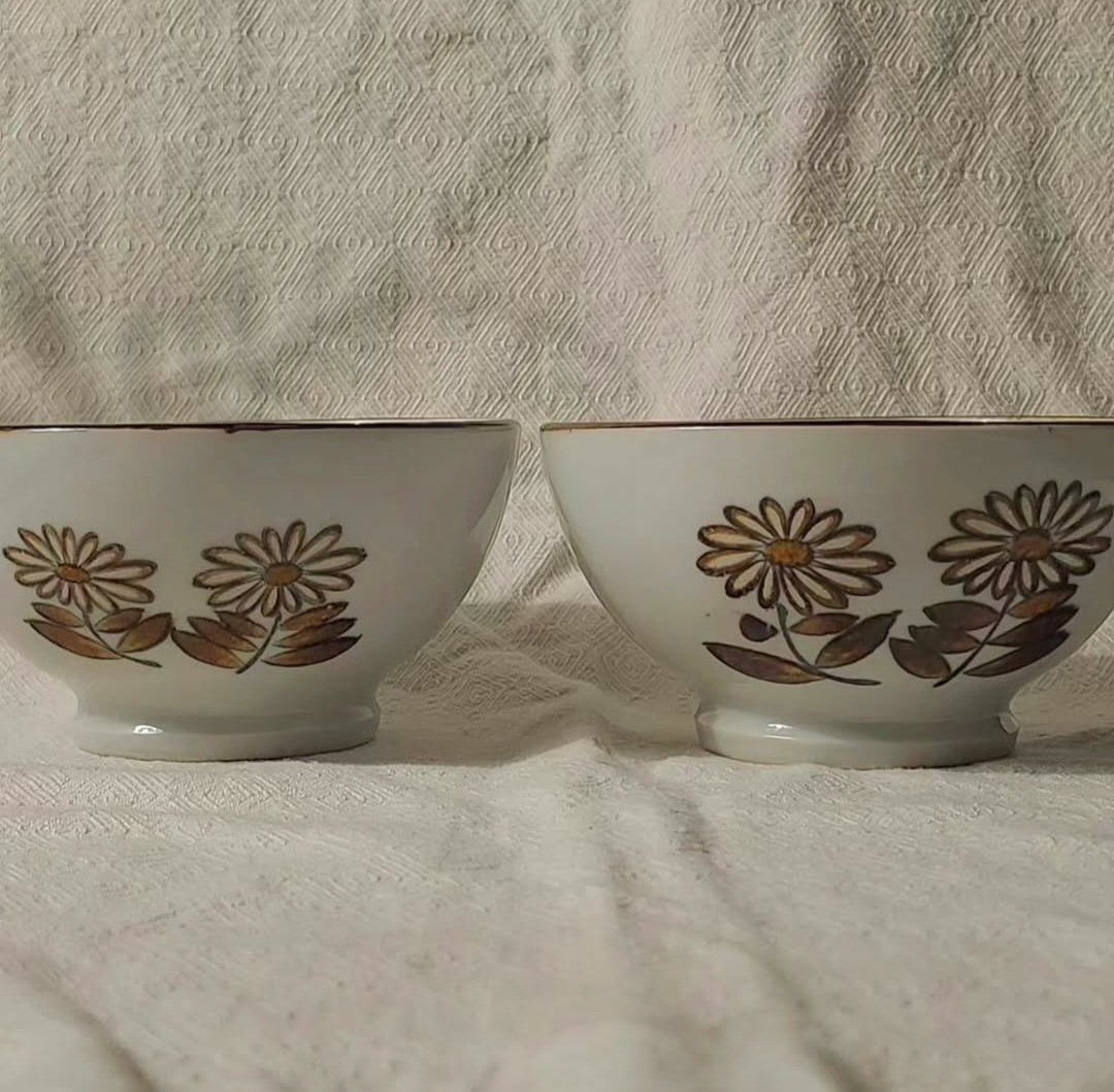 Vintage 1970's Porcelain Bowls - Set of 2 - photo 4