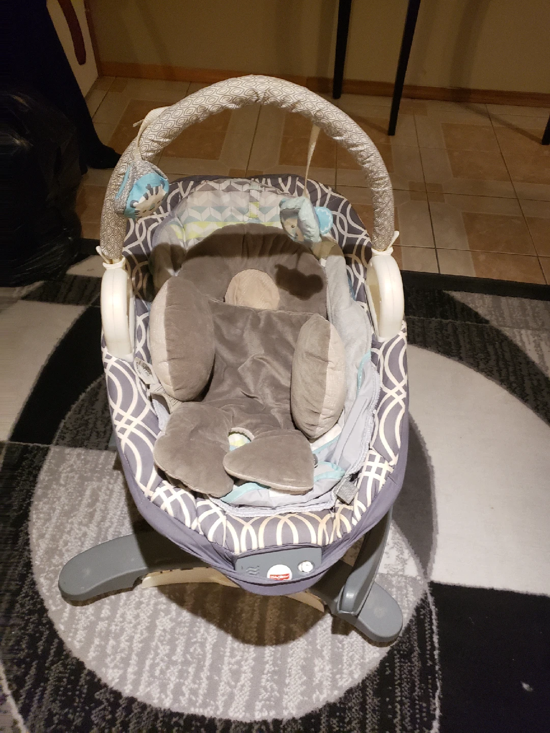 Fisher-Price Baby Bouncer