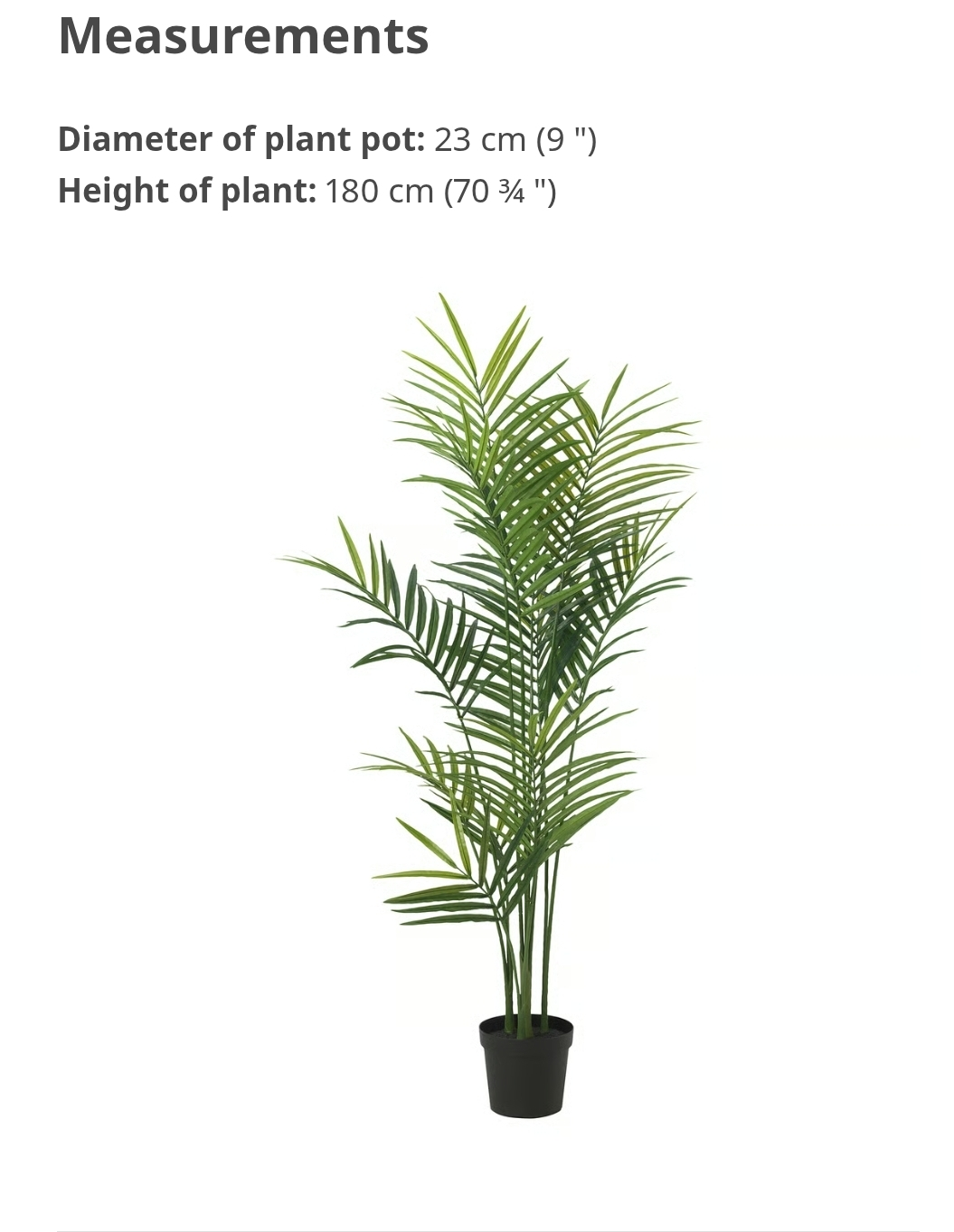 Artificial potted plant, Kentia palm - photo 3